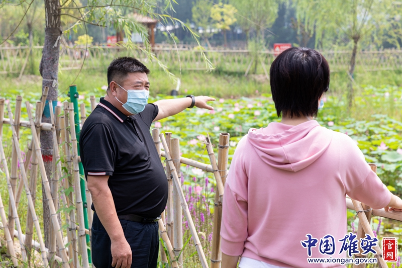 人工湖里的荷花，今年已經爭相盛開，荷葉青青，荷花如面，鄉村如畫，但蘭占友無心欣賞美景，早已進入工作狀態，他忙著跟工作人員討論林草維護保養。如何提升小康成色，織就一道道展示新農村魅力的風景線，成了蘭占友思考的新課題。中國雄安官網記者毛鶴然 攝