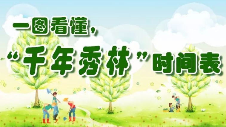 明年將達(dá)61萬畝！雄安“千年秀林”建設(shè)時(shí)間表來啦