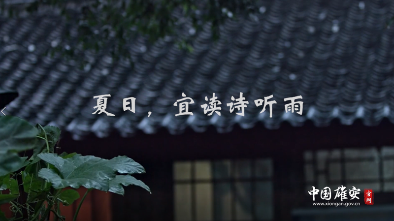視頻丨夏日，宜讀詩(shī)聽雨