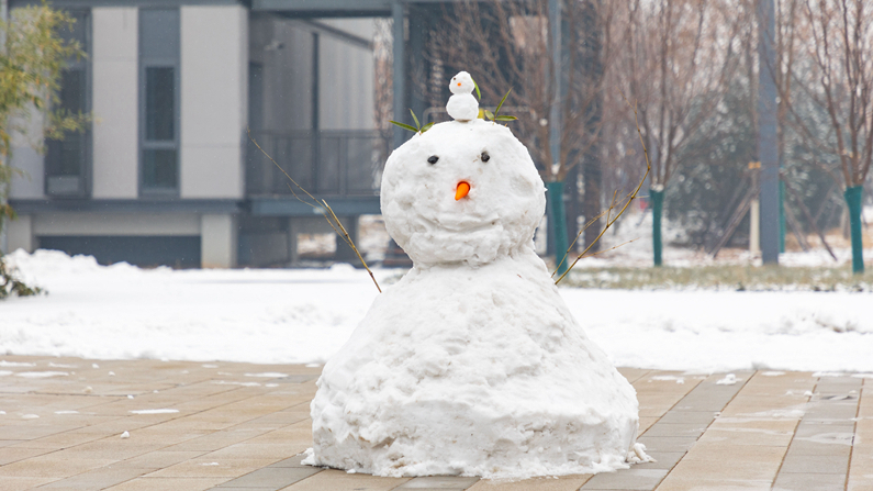 圖集 | 雪落雄安新區，到處銀裝素裹
