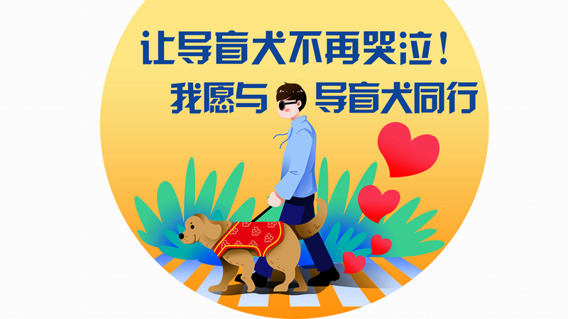 圖解丨讓導盲犬不再哭泣！我愿與導盲犬同行