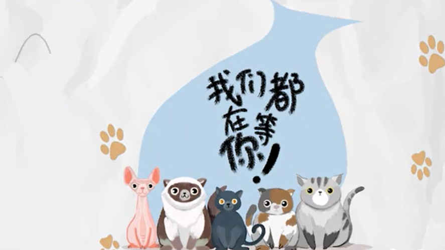 想領養寵物？務必先搞清楚這些事！