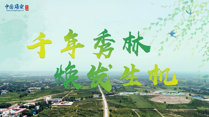 植樹節丨“千年秀林”煥發生機！