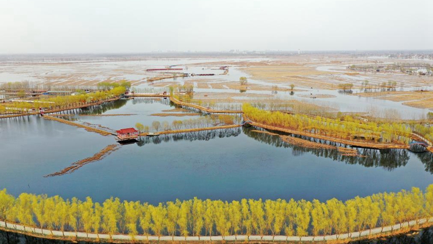 按下“快進鍵”，“未來之城”日新月異——寫在雄安新區大規模建設全面提速之際