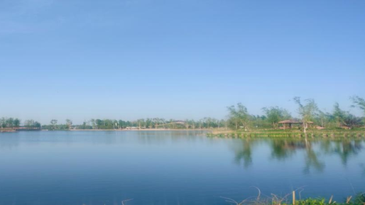 春將遠，夏將至，天鵝湖“網紅”夫婦添寶寶