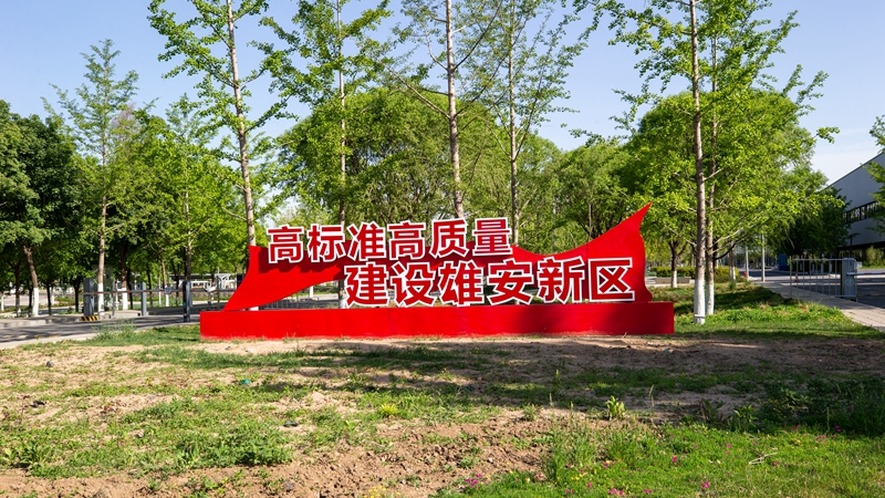 雄言：從黨史中汲取奮進力量 雄安新區“實”字當頭轉作風
