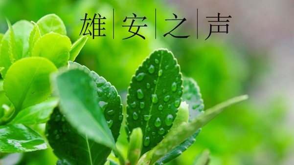 【雄安之聲】20210713