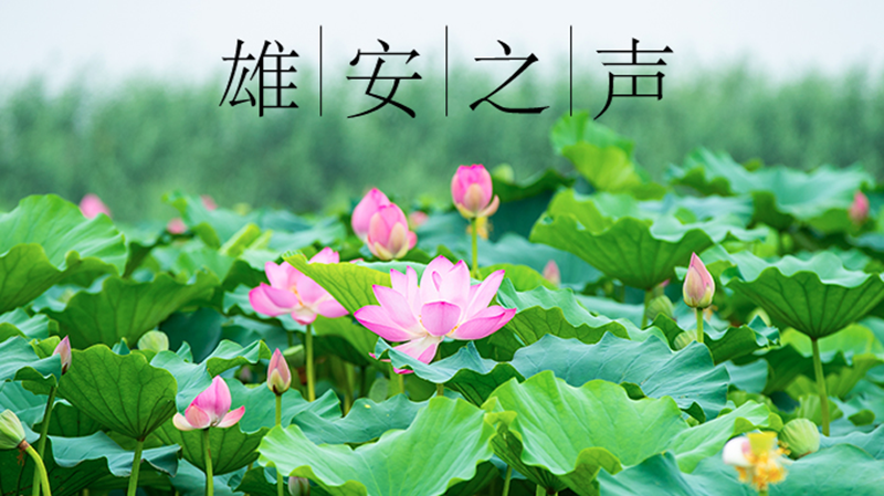 【雄安之聲】20210727