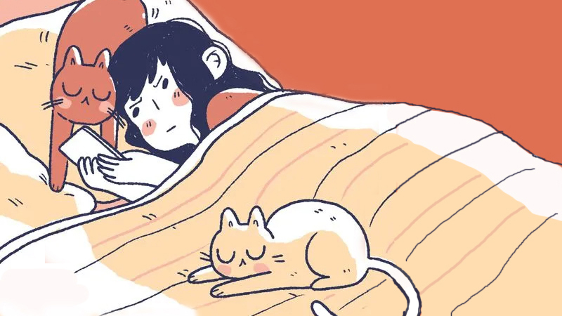 夏夜，聽聽你的失眠四重奏