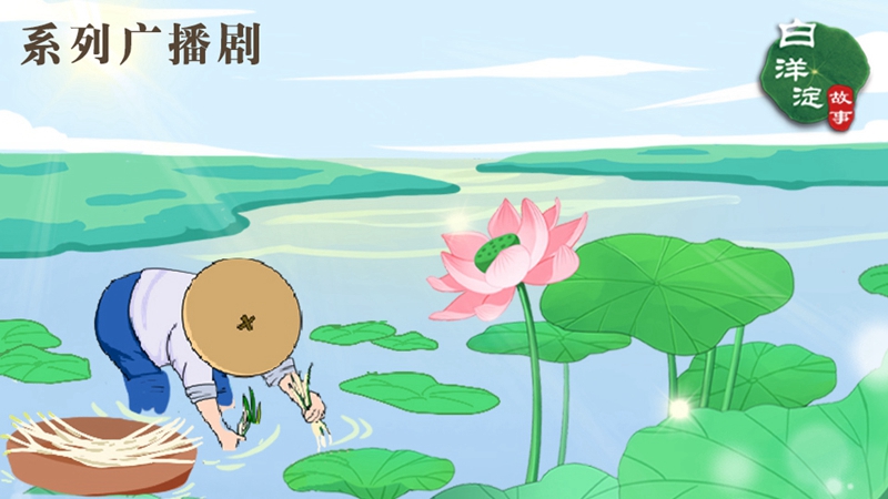 系列廣播劇第187期：白洋淀人消暑少不了它