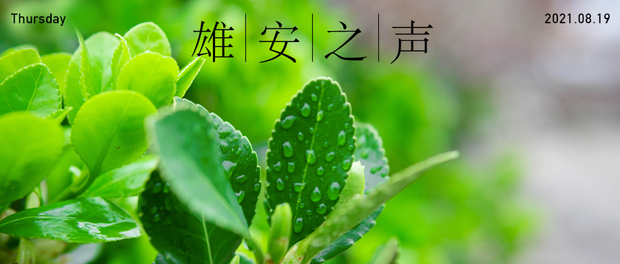 【雄安之聲】20210819