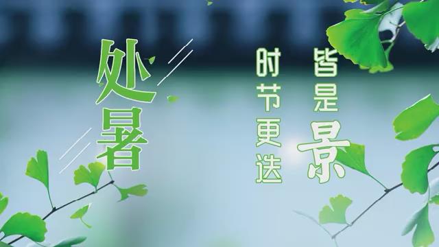 處暑丨時(shí)節(jié)更迭皆是景