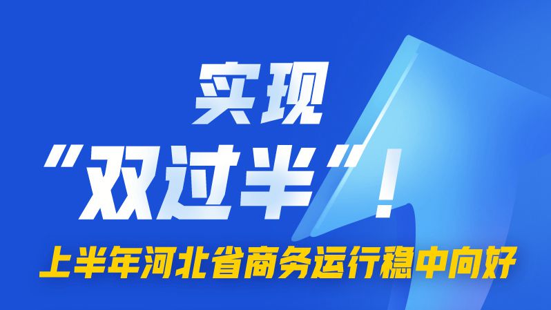 圖解丨實現(xiàn)“雙過半”！上半年河北省商務(wù)運行穩(wěn)中向好