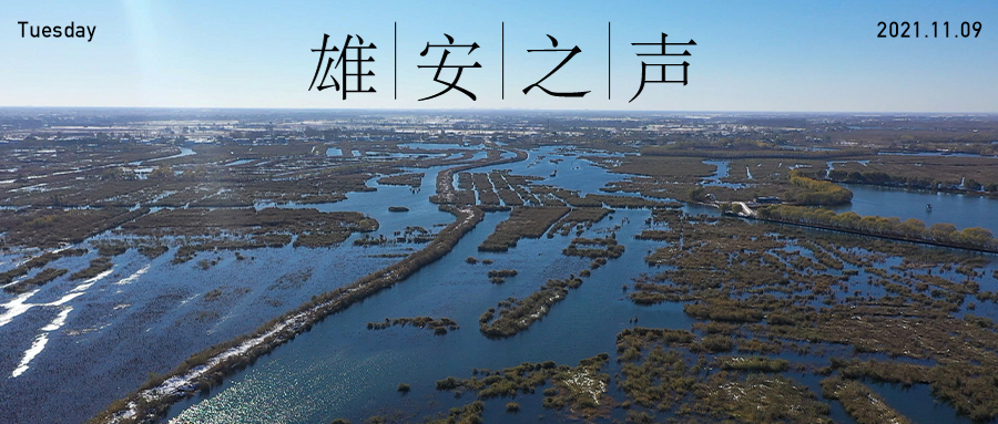 【雄安之聲】20211109