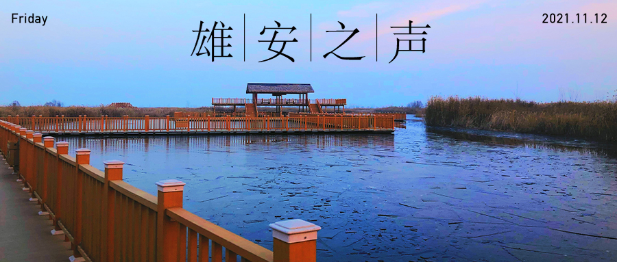 【雄安之聲】20211112