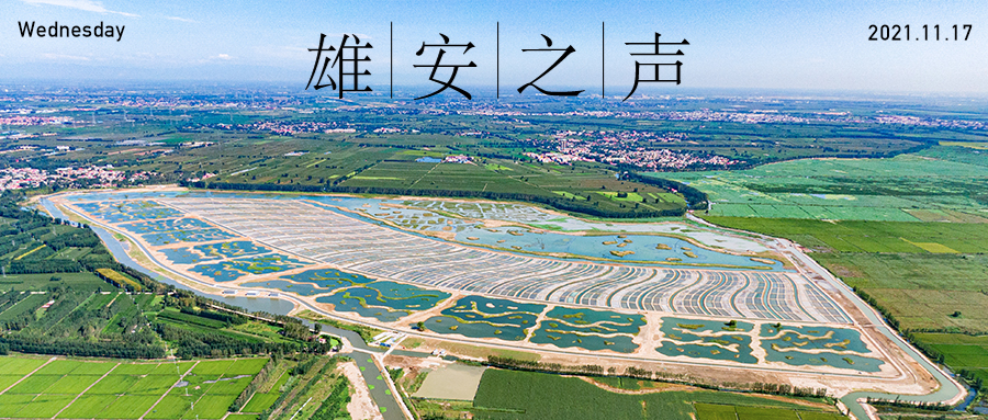 【雄安之聲】20211117