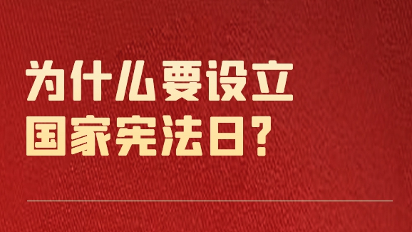 國家憲法日｜你應該知道的那些事