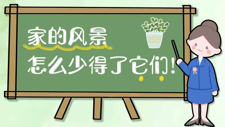 家的風景怎么少得了它們！