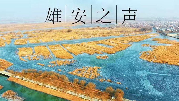 【雄安之聲】20211216