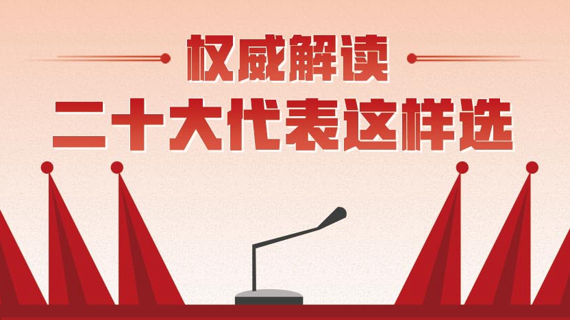 權威解讀丨二十大代表這樣選