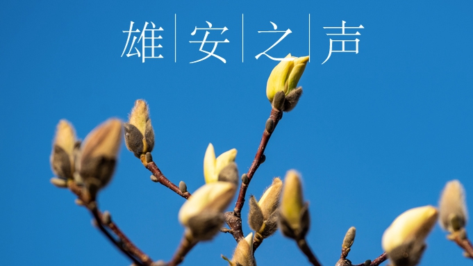 【雄安之聲】20220303