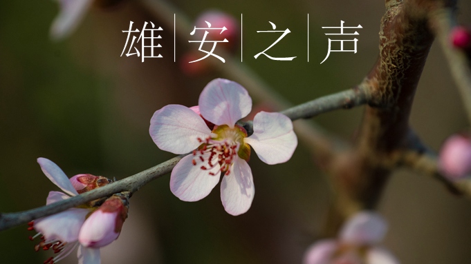 【雄安之聲】20220304