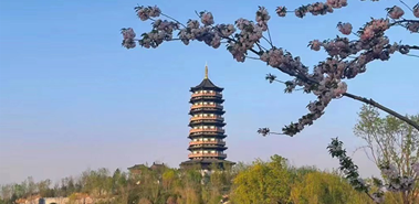 @雄安人，家門口這些高顏值景點等你來打卡！