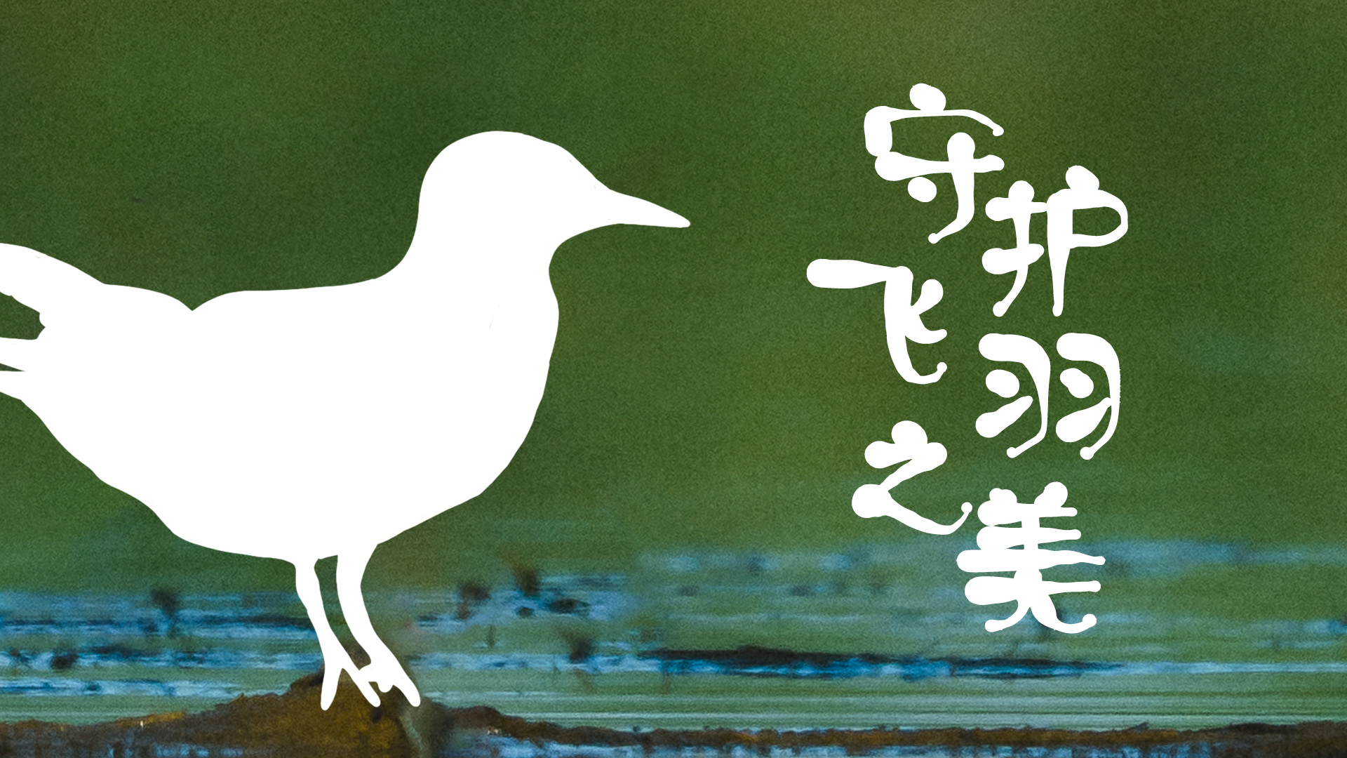 “鳥鳥”有很多小脾氣！白洋淀：沒問題！