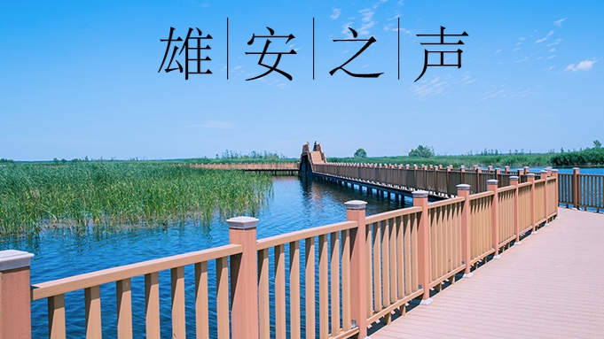 【雄安之聲】20221031