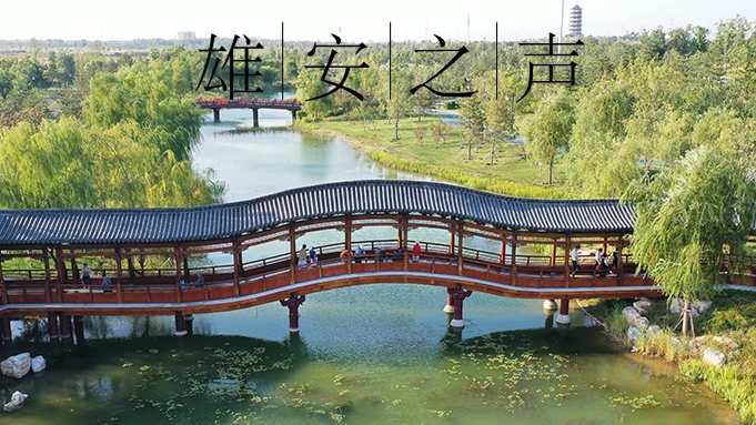 【雄安之聲】20221103