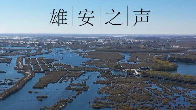 【雄安之聲】20230210