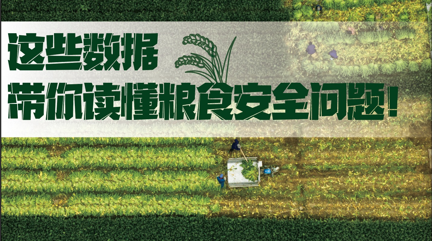 這些數據帶你讀懂糧食安全問題！