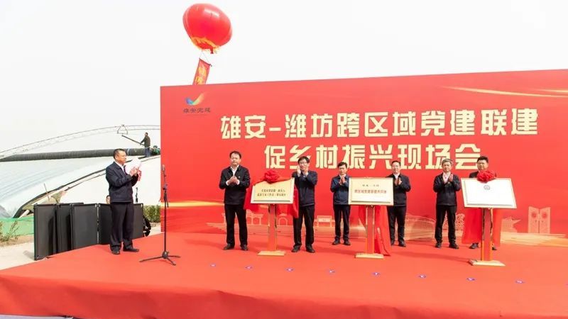 雄安-濰坊深化黨建聯(lián)建 共譜鄉(xiāng)村振興新篇章