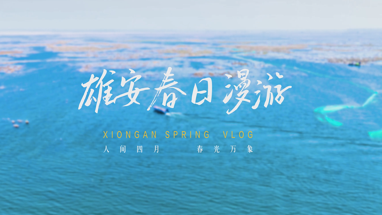 雄安建設進行時丨四月的雄安，春意正濃！