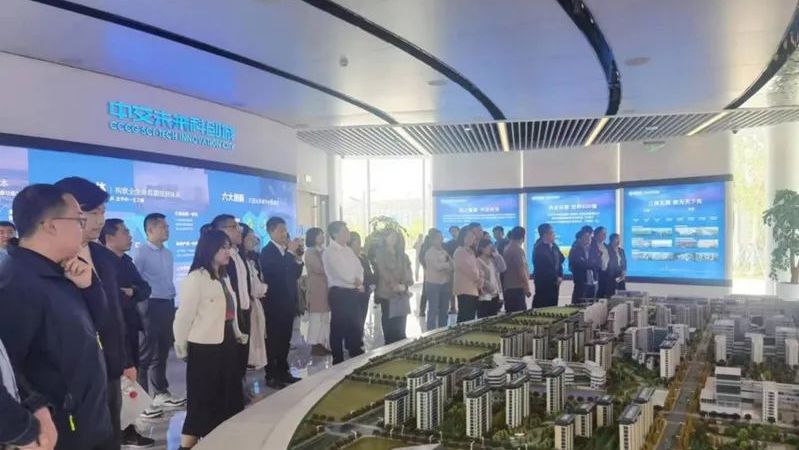 雄安新區(qū)2023年“雙聚雙促”專題培訓(xùn)班舉辦
