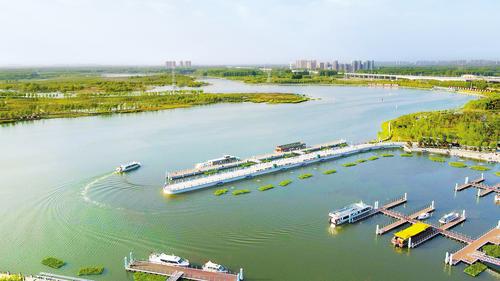 重點領域求突破，攜手下好“一盤棋”