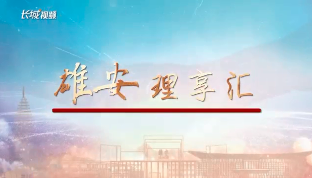 雄安“理”享匯③丨強化疏解服務(wù)功能 高質(zhì)量建設(shè)“城市門戶”