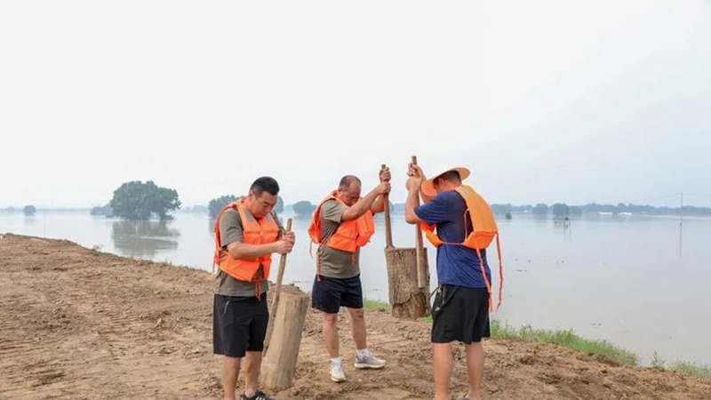 家鄉(xiāng)雄安丨防汛重任扛在肩 巡堤查險保安全