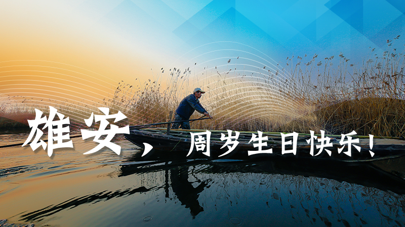 雄安，周歲生日快樂！